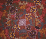 Wild Bush Honey Ants - Brown